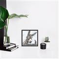 Picture of Donkey time _GroupedProduct_Square_Canvas_Framed_