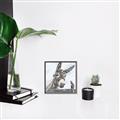 Picture of Donkey time _GroupedProduct_Square_Canvas_Framed_