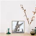 Picture of Donkey time _GroupedProduct_Square_Canvas_Framed_