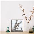 Picture of Donkey time _GroupedProduct_Square_Canvas_Framed_