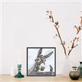 Picture of Donkey time _GroupedProduct_Square_Canvas_Framed_