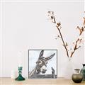 Picture of Donkey time _GroupedProduct_Square_Canvas_Framed_