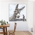 Picture of Donkey time _GroupedProduct_Square_Canvas_Framed_
