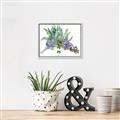 Picture of Succulent Group _GroupedProduct_Rectangle_Landscape_Canvas_Framed_