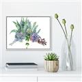 Picture of Succulent Group _GroupedProduct_Rectangle_Landscape_Canvas_Framed_