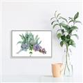 Picture of Succulent Group _GroupedProduct_Rectangle_Landscape_Canvas_Framed_