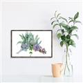 Picture of Succulent Group _GroupedProduct_Rectangle_Landscape_Canvas_Framed_