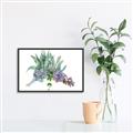 Picture of Succulent Group _GroupedProduct_Rectangle_Landscape_Canvas_Framed_