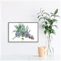 Picture of Succulent Group _GroupedProduct_Rectangle_Landscape_Canvas_Framed_