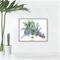 Picture of Succulent Group _GroupedProduct_Rectangle_Landscape_Canvas_Framed_