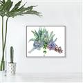 Picture of Succulent Group _GroupedProduct_Rectangle_Landscape_Canvas_Framed_