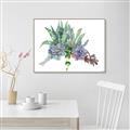 Picture of Succulent Group _GroupedProduct_Rectangle_Landscape_Canvas_Framed_