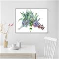 Picture of Succulent Group _GroupedProduct_Rectangle_Landscape_Canvas_Framed_