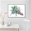Picture of Succulent Group _GroupedProduct_Rectangle_Landscape_Canvas_Framed_