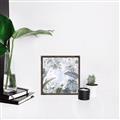 Picture of Floating Leaves _GroupedProduct_Square_Canvas_Framed_