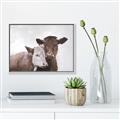 Picture of Cow buddies _GroupedProduct_Rectangle_Landscape_Canvas_Framed_