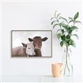 Picture of Cow buddies _GroupedProduct_Rectangle_Landscape_Canvas_Framed_