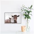 Picture of Cow buddies _GroupedProduct_Rectangle_Landscape_Canvas_Framed_