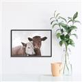 Picture of Cow buddies _GroupedProduct_Rectangle_Landscape_Canvas_Framed_