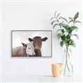 Picture of Cow buddies _GroupedProduct_Rectangle_Landscape_Canvas_Framed_