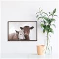 Picture of Cow buddies _GroupedProduct_Rectangle_Landscape_Canvas_Framed_