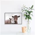Picture of Cow buddies _GroupedProduct_Rectangle_Landscape_Canvas_Framed_