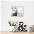 Picture of Reindeer _GroupedProduct_Rectangle_Landscape_Canvas_Framed_