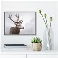Picture of Reindeer _GroupedProduct_Rectangle_Landscape_Canvas_Framed_
