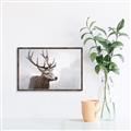 Picture of Reindeer _GroupedProduct_Rectangle_Landscape_Canvas_Framed_