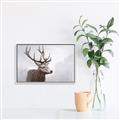 Picture of Reindeer _GroupedProduct_Rectangle_Landscape_Canvas_Framed_