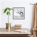 Picture of Three Petals Drop  _GroupedProduct_Square_Canvas_Framed_