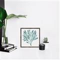 Picture of Teal Coral II  _GroupedProduct_Square_Canvas_Framed_