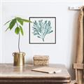 Picture of Teal Coral II  _GroupedProduct_Square_Canvas_Framed_