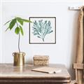 Picture of Teal Coral II  _GroupedProduct_Square_Canvas_Framed_