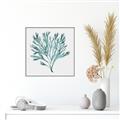 Picture of Teal Coral II  _GroupedProduct_Square_Canvas_Framed_