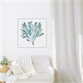 Picture of Teal Coral II  _GroupedProduct_Square_Canvas_Framed_