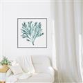 Picture of Teal Coral II  _GroupedProduct_Square_Canvas_Framed_