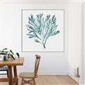 Picture of Teal Coral II  _GroupedProduct_Square_Canvas_Framed_