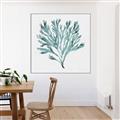 Picture of Teal Coral II  _GroupedProduct_Square_Canvas_Framed_