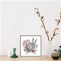 Picture of Ocean Coral l _GroupedProduct_Square_Canvas_Framed_