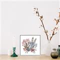 Picture of Ocean Coral l _GroupedProduct_Square_Canvas_Framed_