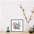 Picture of Ocean Coral l _GroupedProduct_Square_Canvas_Framed_