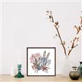 Picture of Ocean Coral l _GroupedProduct_Square_Canvas_Framed_