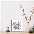 Picture of Ocean Coral l _GroupedProduct_Square_Canvas_Framed_