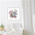 Picture of Ocean Coral l _GroupedProduct_Square_Canvas_Framed_