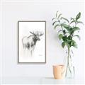 Picture of Moose Charcoal _GroupedProduct_Rectangle_Portrait_Canvas_Framed_