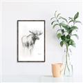Picture of Moose Charcoal _GroupedProduct_Rectangle_Portrait_Canvas_Framed_
