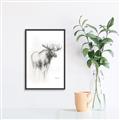 Picture of Moose Charcoal _GroupedProduct_Rectangle_Portrait_Canvas_Framed_