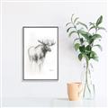 Picture of Moose Charcoal _GroupedProduct_Rectangle_Portrait_Canvas_Framed_