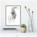 Picture of Ram Charcoal _GroupedProduct_Rectangle_Portrait_Canvas_Framed_